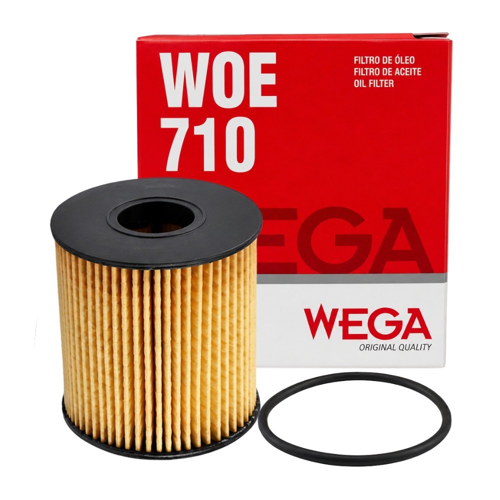 Filtro Lubrificante Aircross C3 C4 206 Freelander 308 Wega