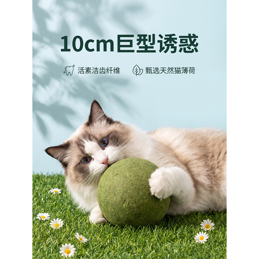Catnip bola gato brinquedo interativo sólido puro não-Slag bola brinquedo aliviar o estresse suprimentos para animais de