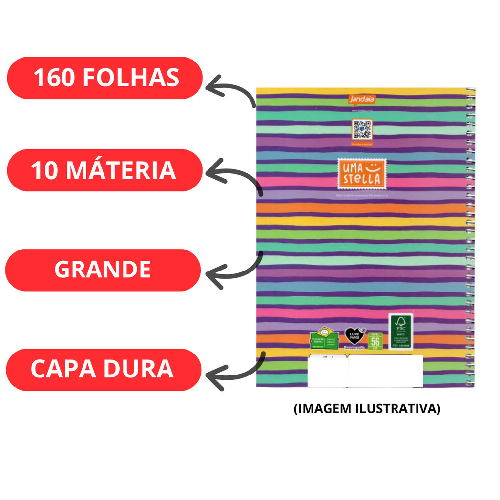 Kit 02 Cadernos Universitário 10 Matérias 160 Folhas Stella - Jandaia · foto 2