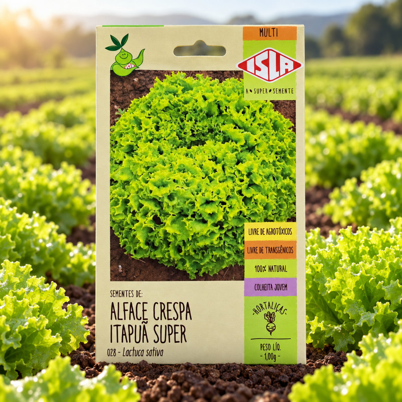 Sementes Alface Crespa Itapuâ Super