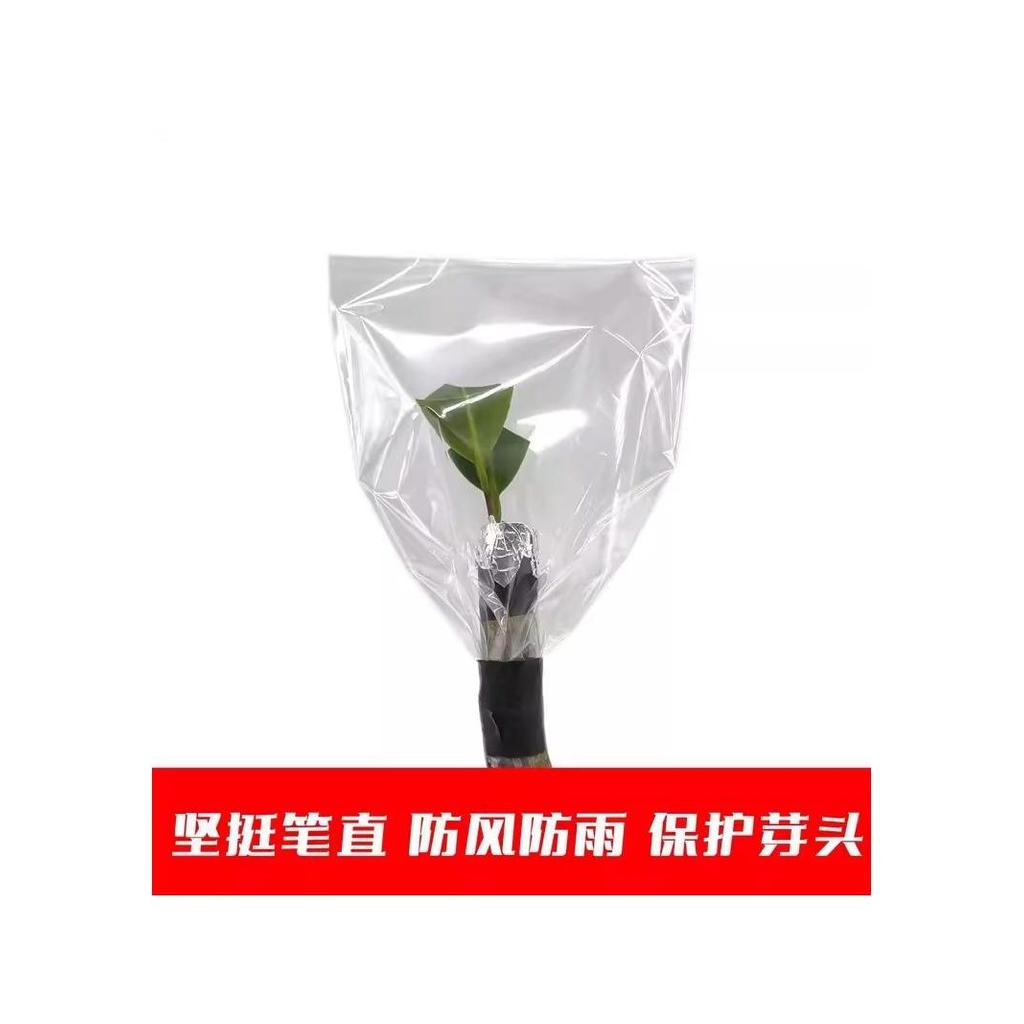 Árvore frutífera enxertia dedicada ensacamento ferramenta útil árvore planta enrolamento filme hidratante saco plástico 