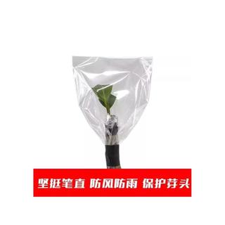 Árvore frutífera enxertia dedicada ensacamento ferramenta útil árvore planta enrolamento filme hidratante saco plástico 