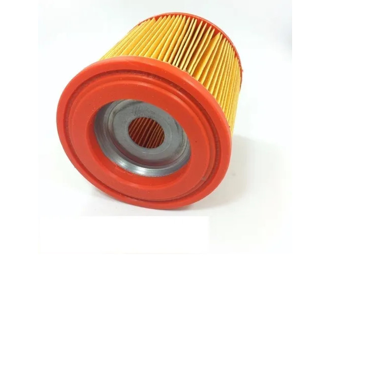 Filtro Cartucho Permanente Papel Sanfonado aspirdor - Karcher