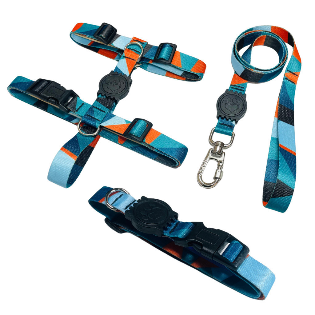 Kit para Passeio de Animais de Estimação: Coleira Peitoral, Guia e Coleira para Filhotes, Cães e Animais de Estimação -