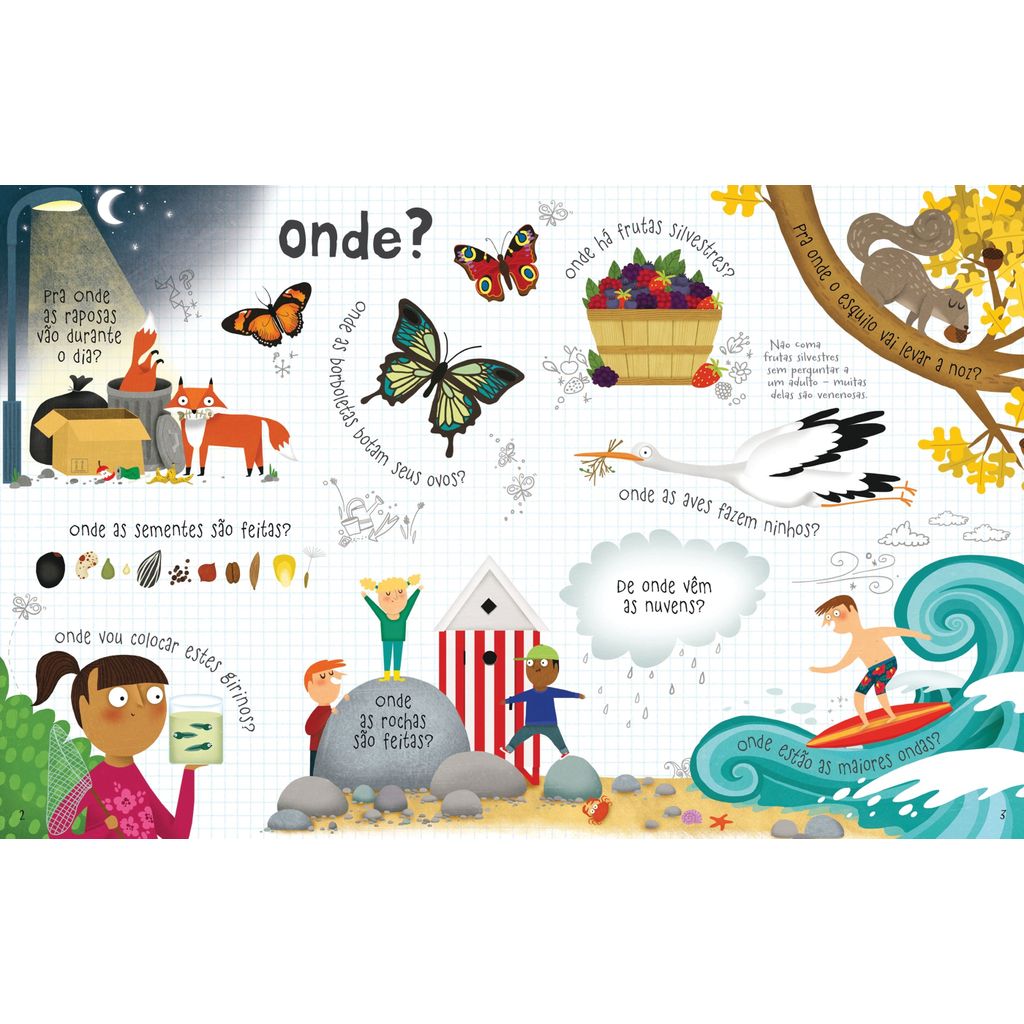 O Livro Dos Porquês : Natureza - Ed. Usborne · foto 2