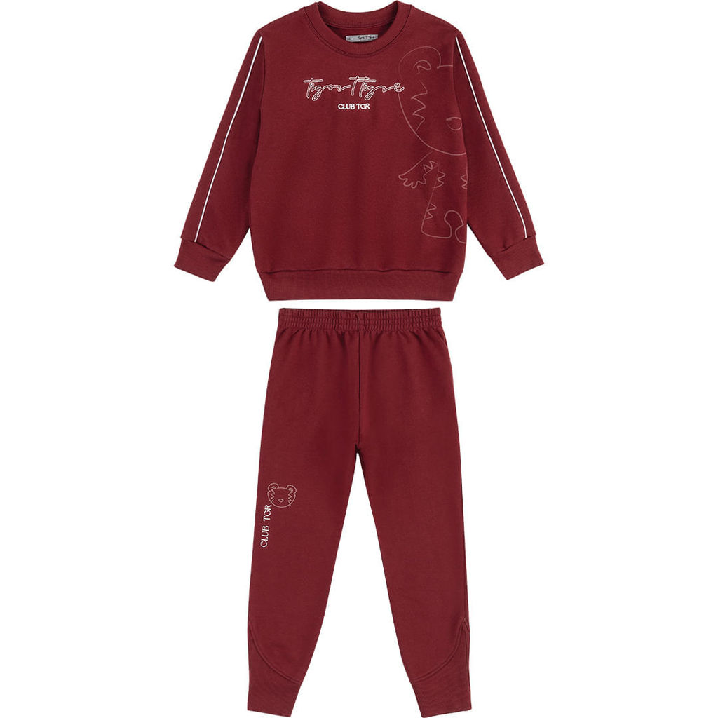 Conjunto Longo Moletom Infantil Menino Tigor T. Tigre