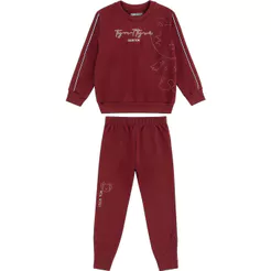 Conjunto Longo Moletom Infantil Menino Tigor T. Tigre