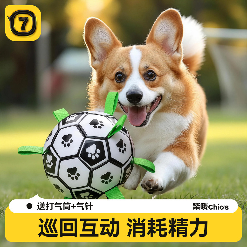 Brinquedo para cachorro, pastor de baile, brinquedo auto-feliz, Labrador, Corgi, treinamento especial, futebol, resisten