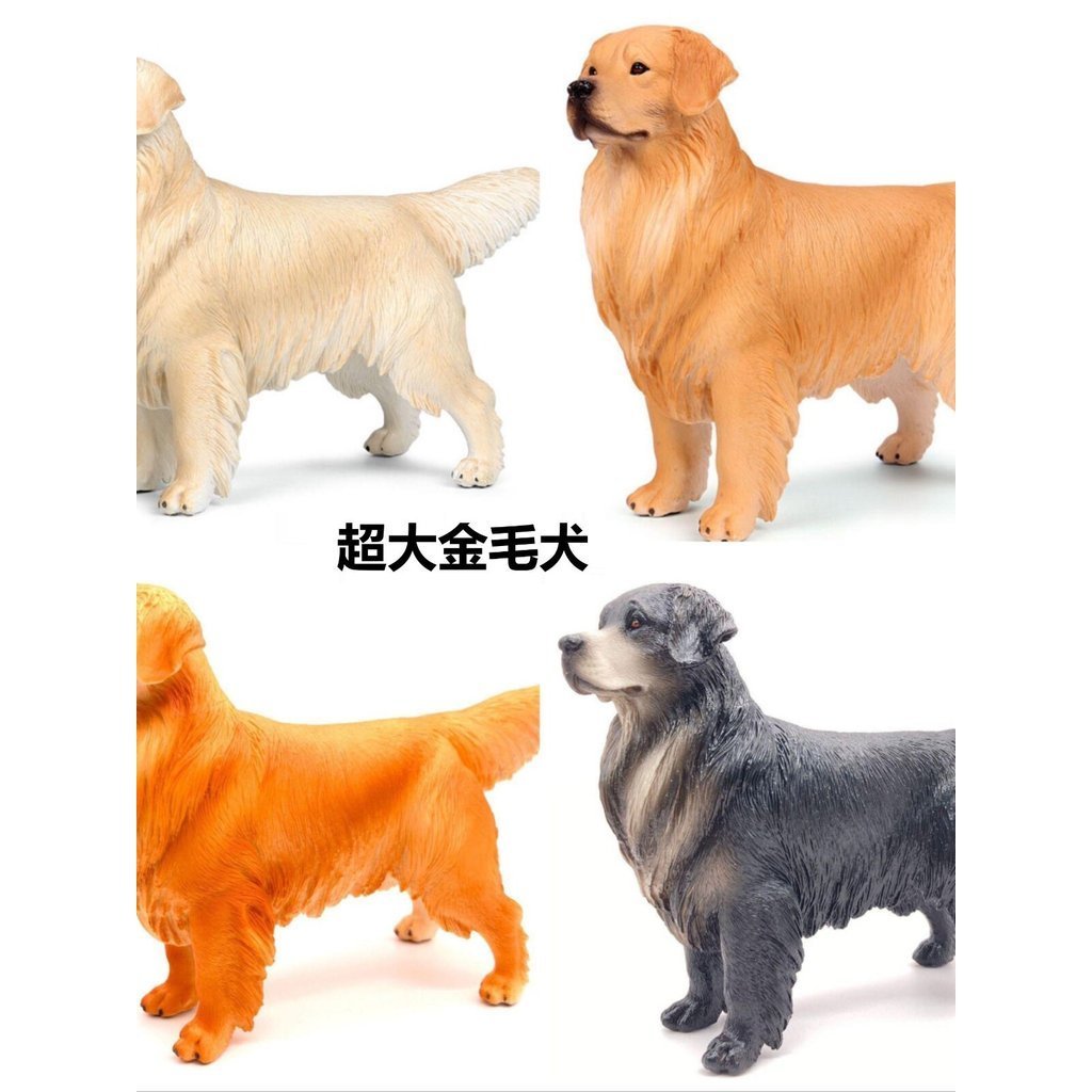 Modelo de cachorro realista, Golden Retriever maciço, Golden Retriever grande, Golden Retriever preto, brinquedo para me