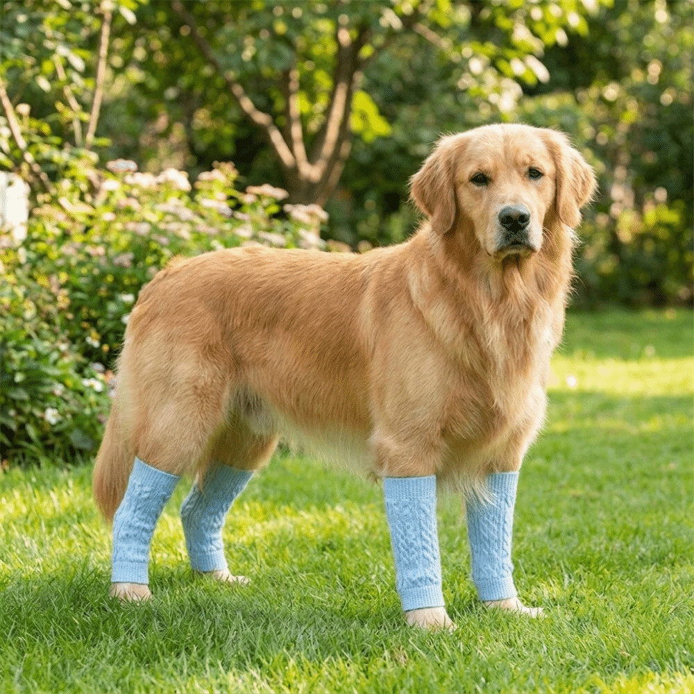 4 Meias Do Joelho Cão Dos Pces , Protetores Respiráveis Elásticos Animal De Estimação , Anti Risco Antiderrapante Capa C