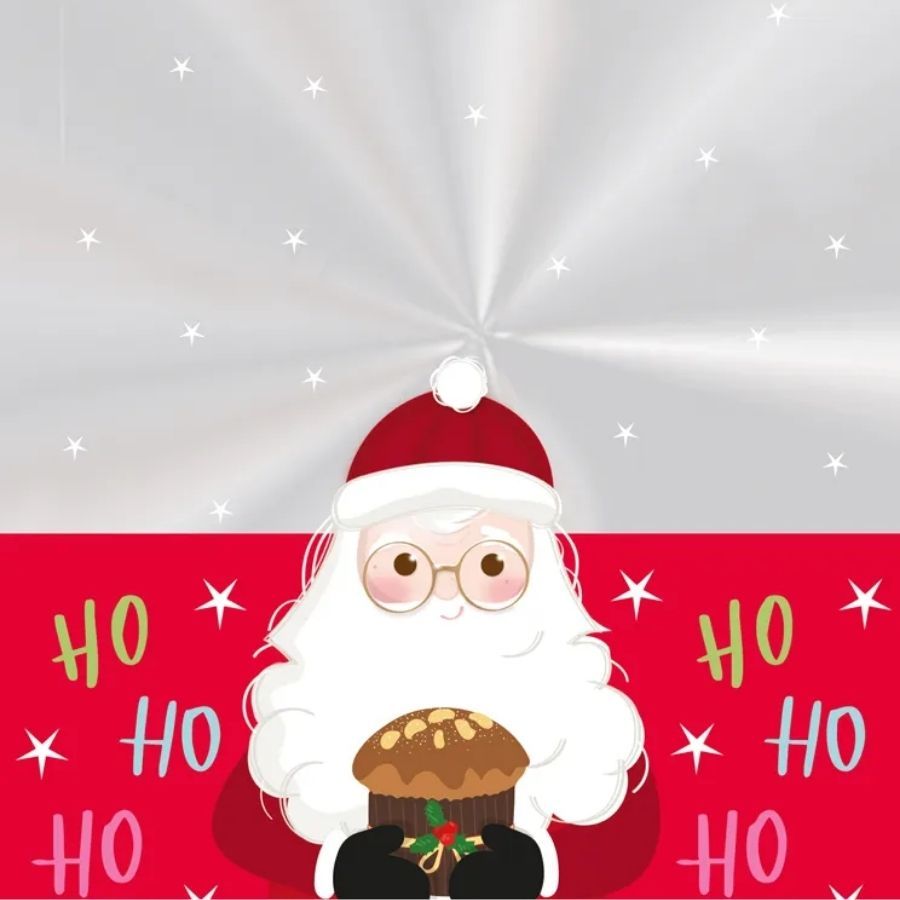 Saco Transparente para Panetone de 500g - Papai Noel - 25x35cm - 50 unidades - Cromus - Rizzo