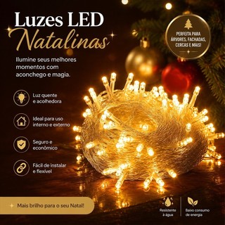 100 LED String Lights, 10 Meters, 8 Functions, Transparent, Warm White or Colored Wire, 110V or 220V