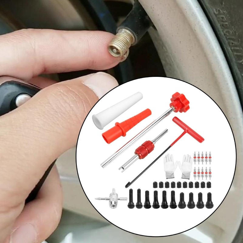 Treeling 0 453 Conjunto De Serviço De Haste De Pneu , Kit De Instalação De Extrator Manual De 36 Peças Para Carro , Moto