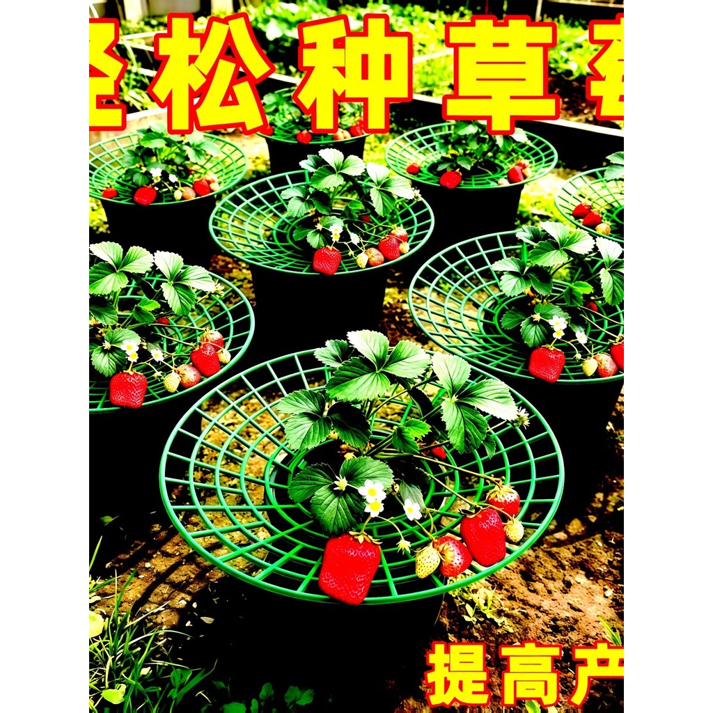 Família morango plantio suporte anti-corrosão anti-invertida simples quadro de suporte jardinagem flor bandeja Rack ferr