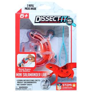 Kit de Dissecação Mini Lab Dissect-It - Salamandra em Oferta na Shopee