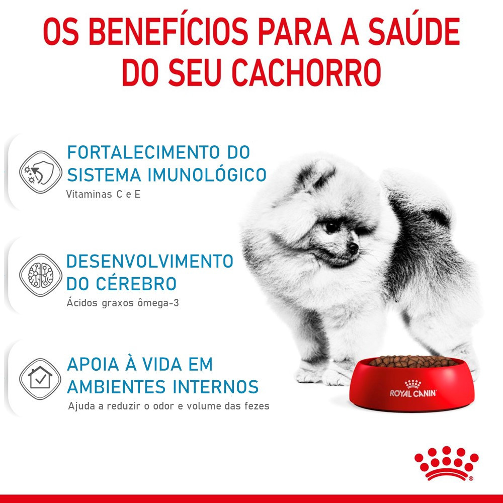 Ração Mini Indoor Junior 7,5Kg Royal Canin — imagem 2 de 2