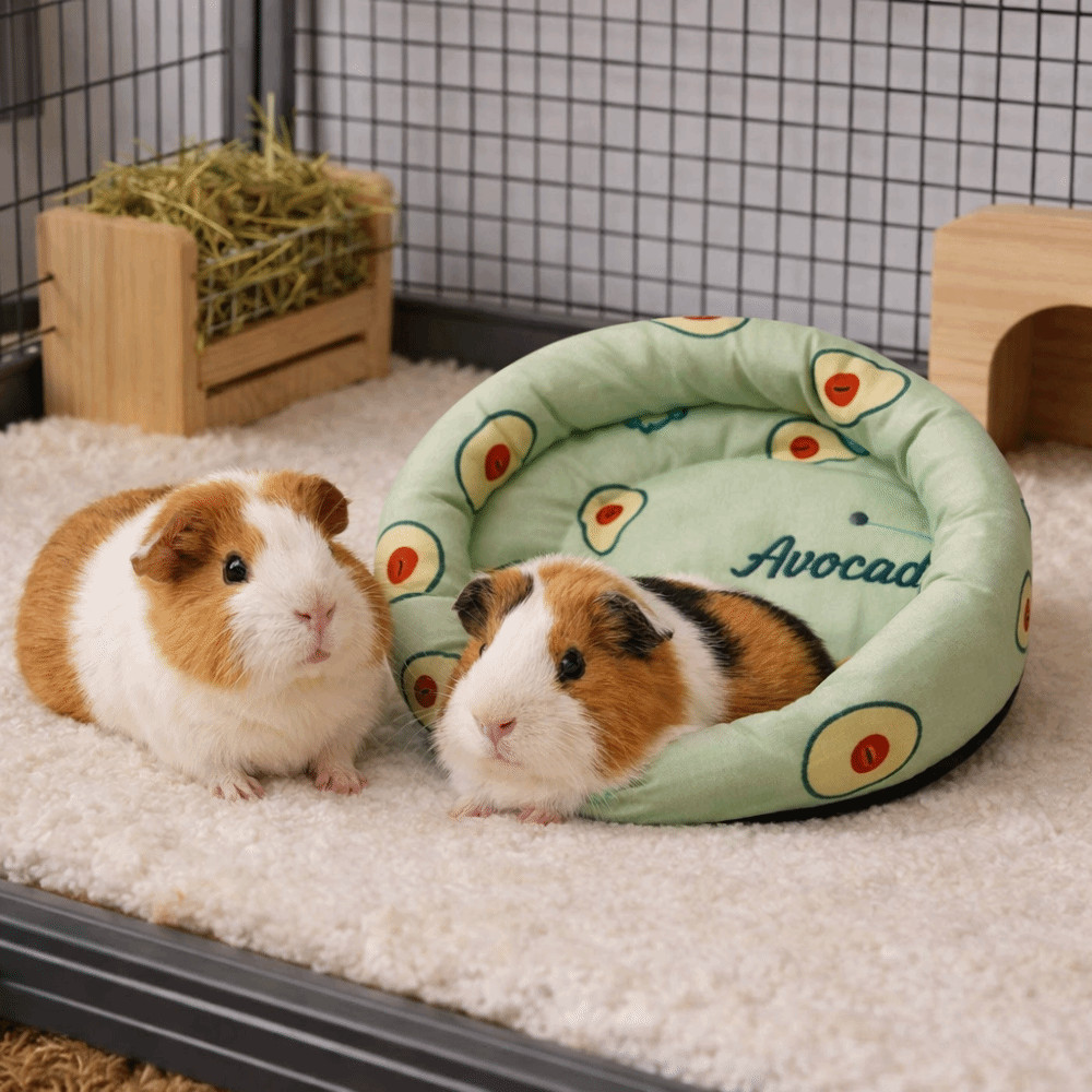 Tapete De Ninho De Hamster , Almofada De Seda Gelada Respirável , Pequeno Para Areia De Animais De Estimação , Padrão De