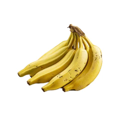 Hortmix Banana nanica 500g