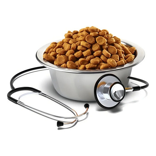 Ração Para Cães Renal Raças Pequenas 10,1kg Vet Life