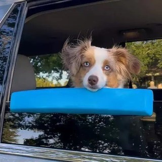 Pet janela queixo resto proteção colisão cão limpeza à prova dwaterproof água auto-condução paisagem cão queixo almofada