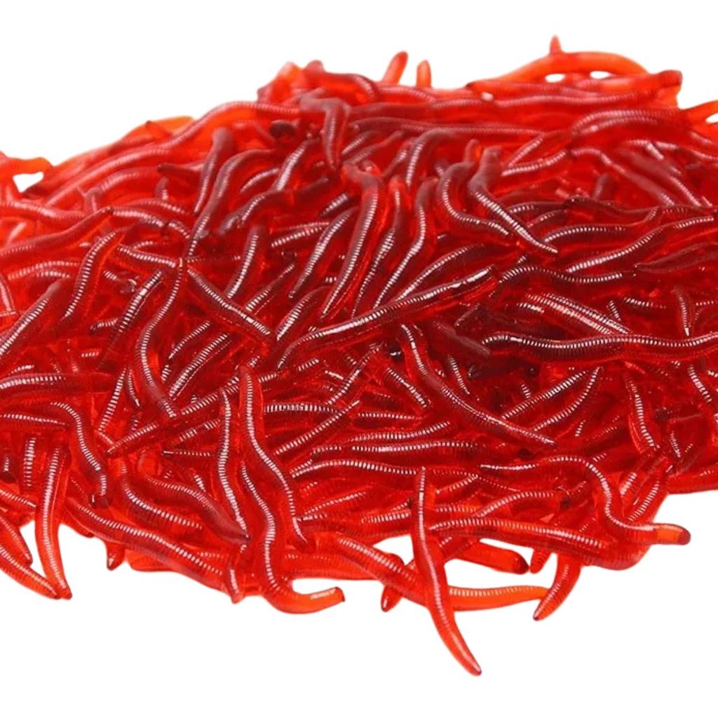 Isca Artificial Minhoca de Silicone Aromatizadas para Pesca - 50 Unidades