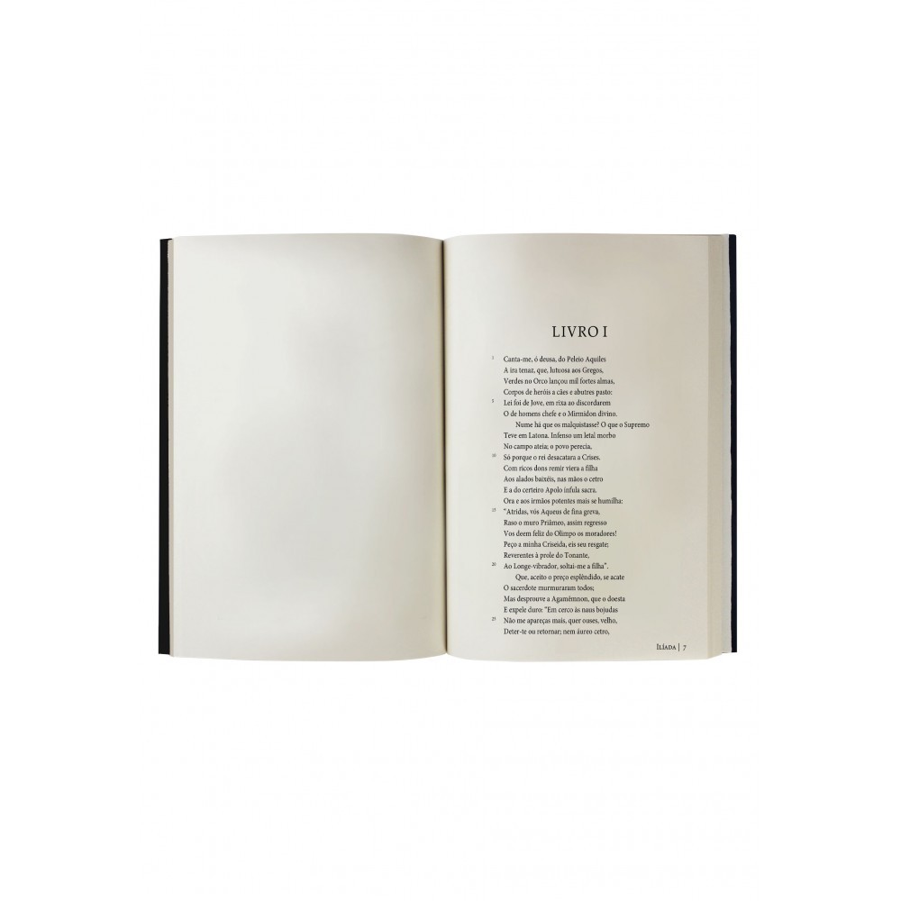 Livro Ilíada - Edição Supreme Capa Dura com Alto Relevo - Importad · foto 2