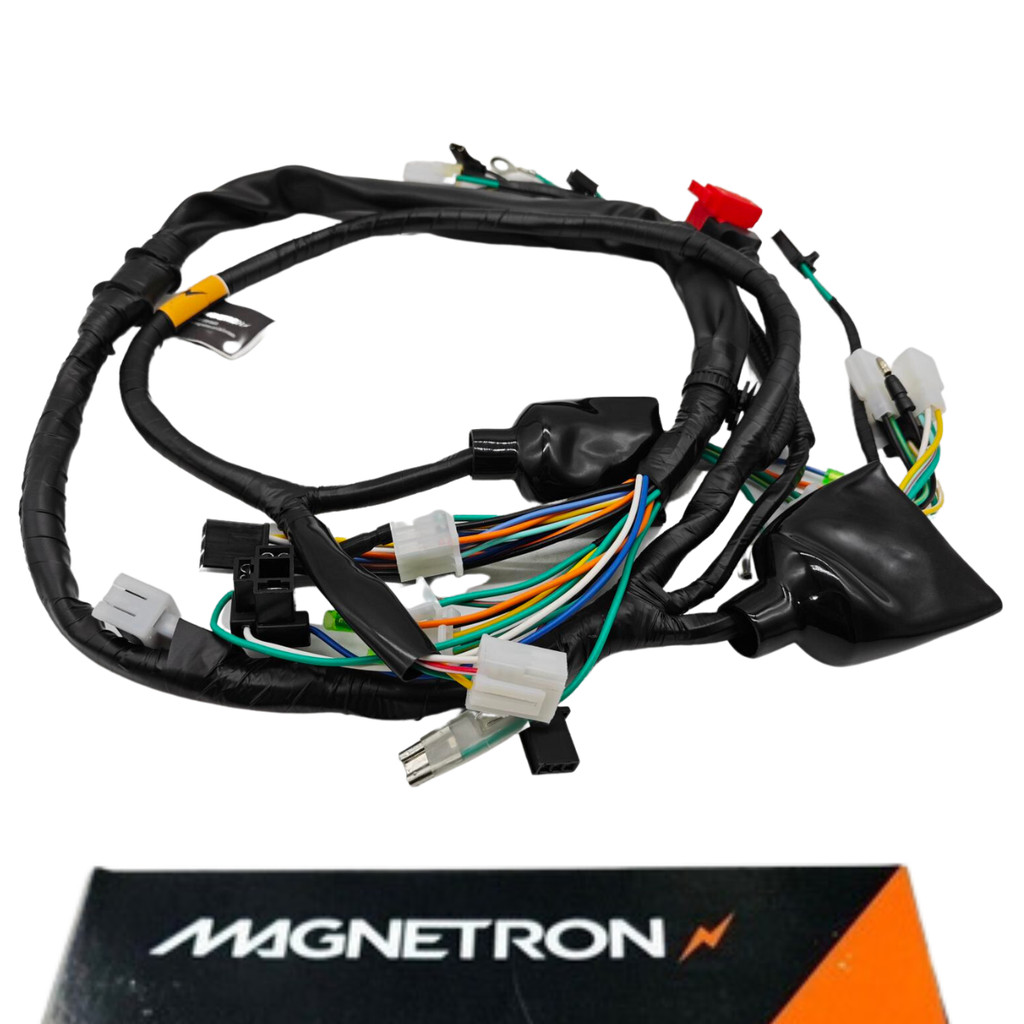 Fiação Elétrica (chicote) Principal Completa Honda CG 125 Titan ES 2000 2001 2002 Original Magnetron