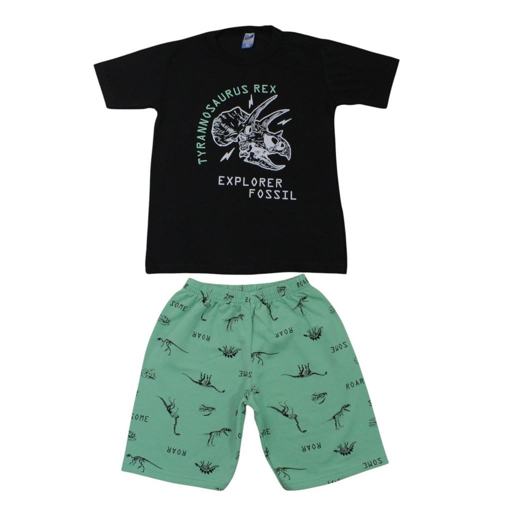 Conjunto Infantil Camiseta e Bermuda Moletinho Estampa Dinossauro 3100 - Cleomara