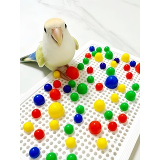 Bater diversão!Blocos de construção de inserção de plástico, suprimentos para animais de estimação, peônia, Phoenix, cog