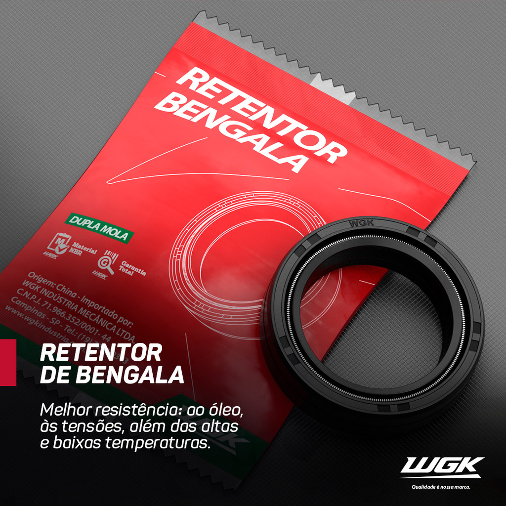 Retentor de Bengala Dupla Mola CG-150 CG-160 CG-160CG-150NXR-150 BrosCBX-150 AeroCBX-200 StradaNXR
