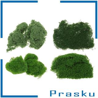 [Prasku] Modelo De Pó De Grama Estática Flocagem Cenário De Mesa De Areia Terrain Em Miniatura Diorama DIY Artificial Tr