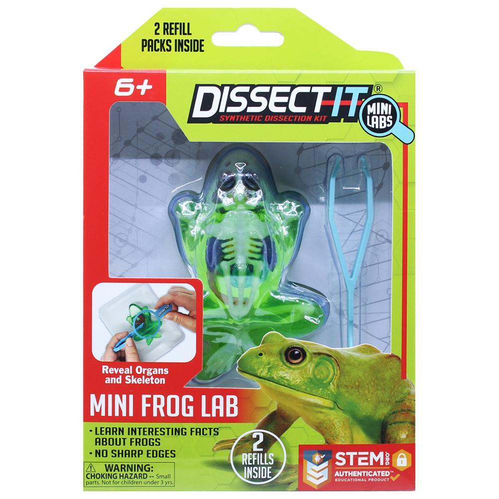 Kit de Dissecação Mini Lab Dissect-It - Sapo em Oferta na Shopee