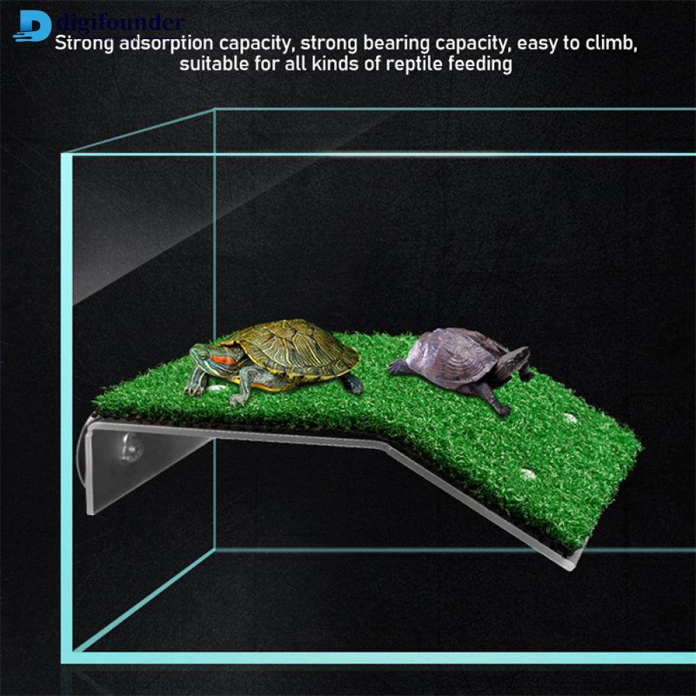 DIGIFOUNDER Tartaruga Plataforma Flutuador Decoração Aquário Para Pequeno Réptil Ventosa Secagem Fácil Instalar Simulado