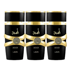 Perfume Árabe Masculino 60ml Essência Concentrada Alta Fixação Aroma Amadeirado Especiado Marcante