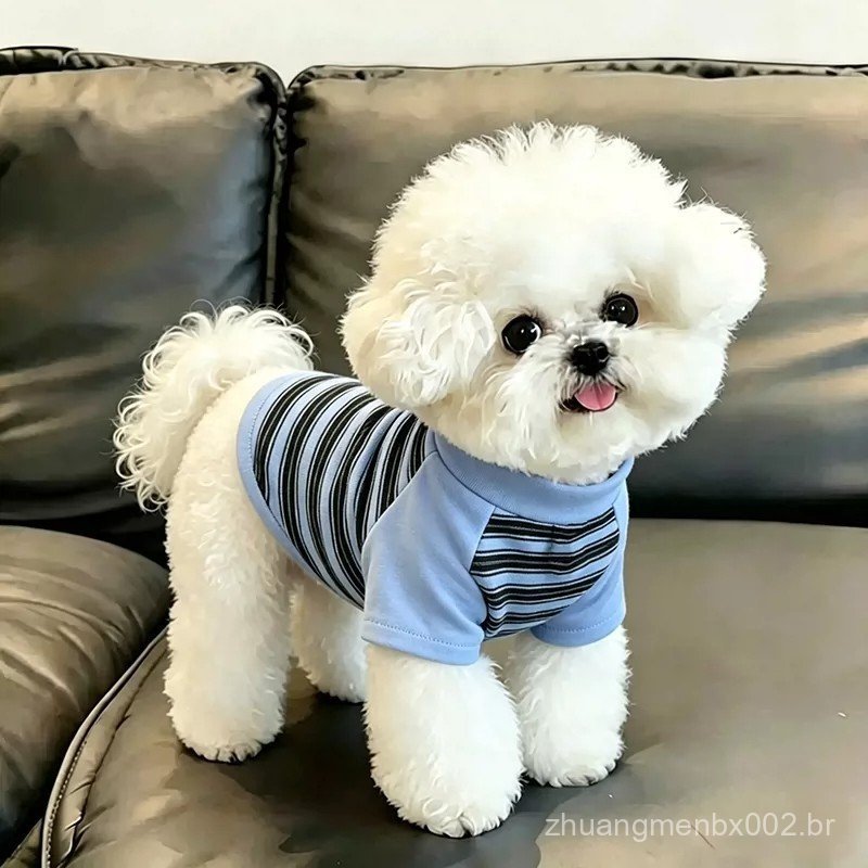 Camiseta de manga comprida listrada para cães de porte pequeno, modelo fino para primavera e outono, protege contra resf