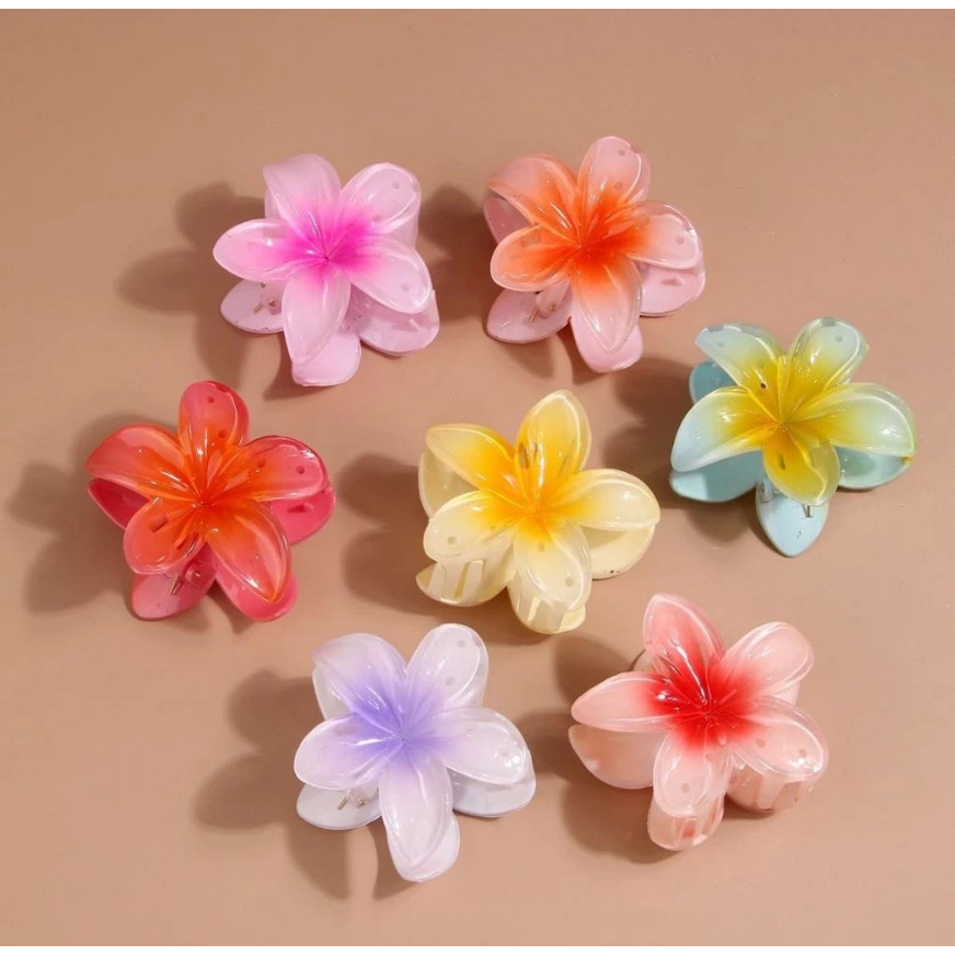 Kit 3/6/12 Presilhas Piranha de Cabelo 6cm – Formato Flor, Estilo Havaiano para Praia, Férias e Uso Diário em Oferta na Shopee