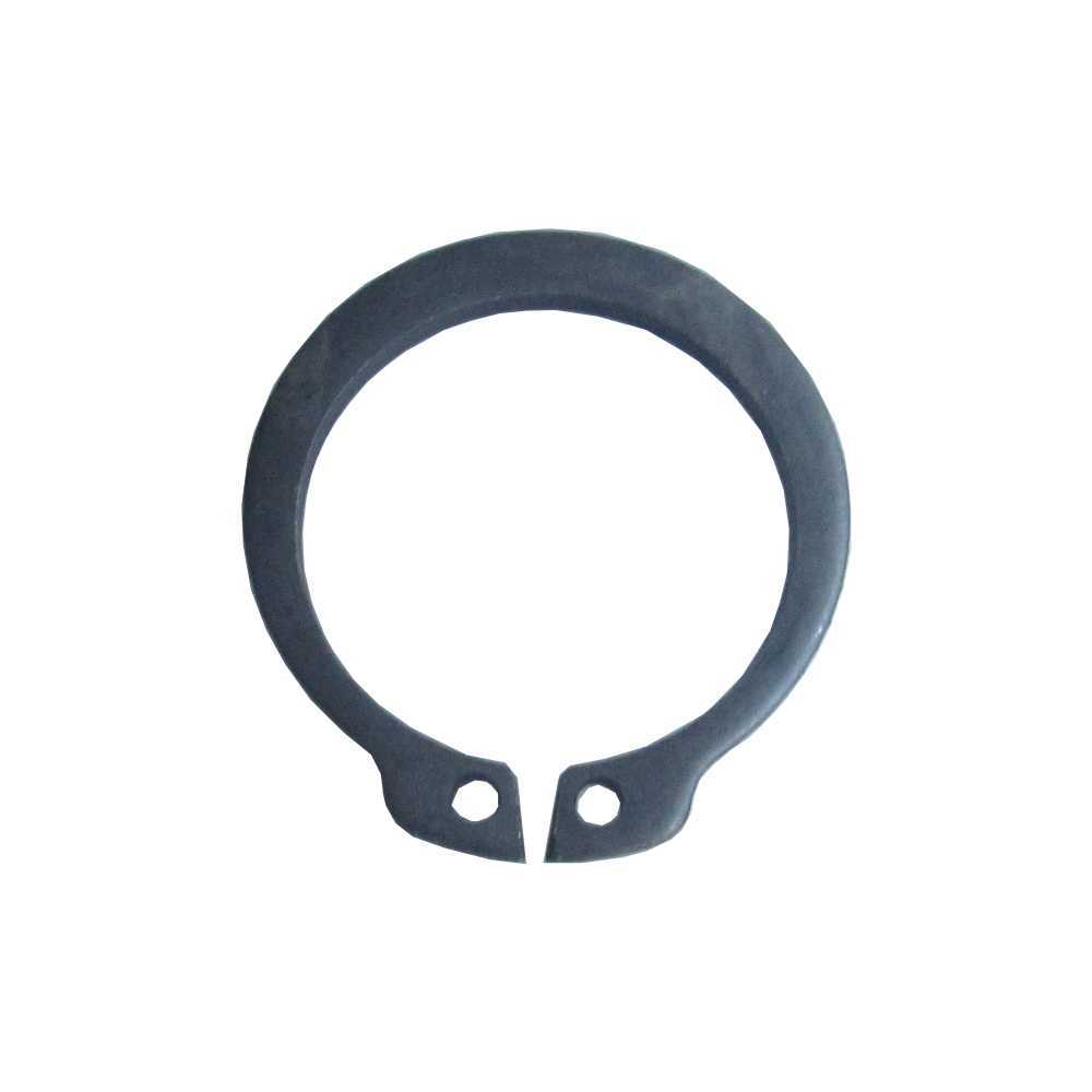 Anel Trava Eixo S Freio Dianteiro/Traseiro EUROTECH/EUROCARGO/STRALIS/TECTOR/S170 em Oferta na Shopee