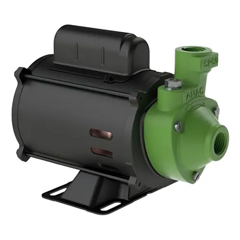 MOTOBOMBA FAMAC FSP60-1 0,5CV MONO 127V