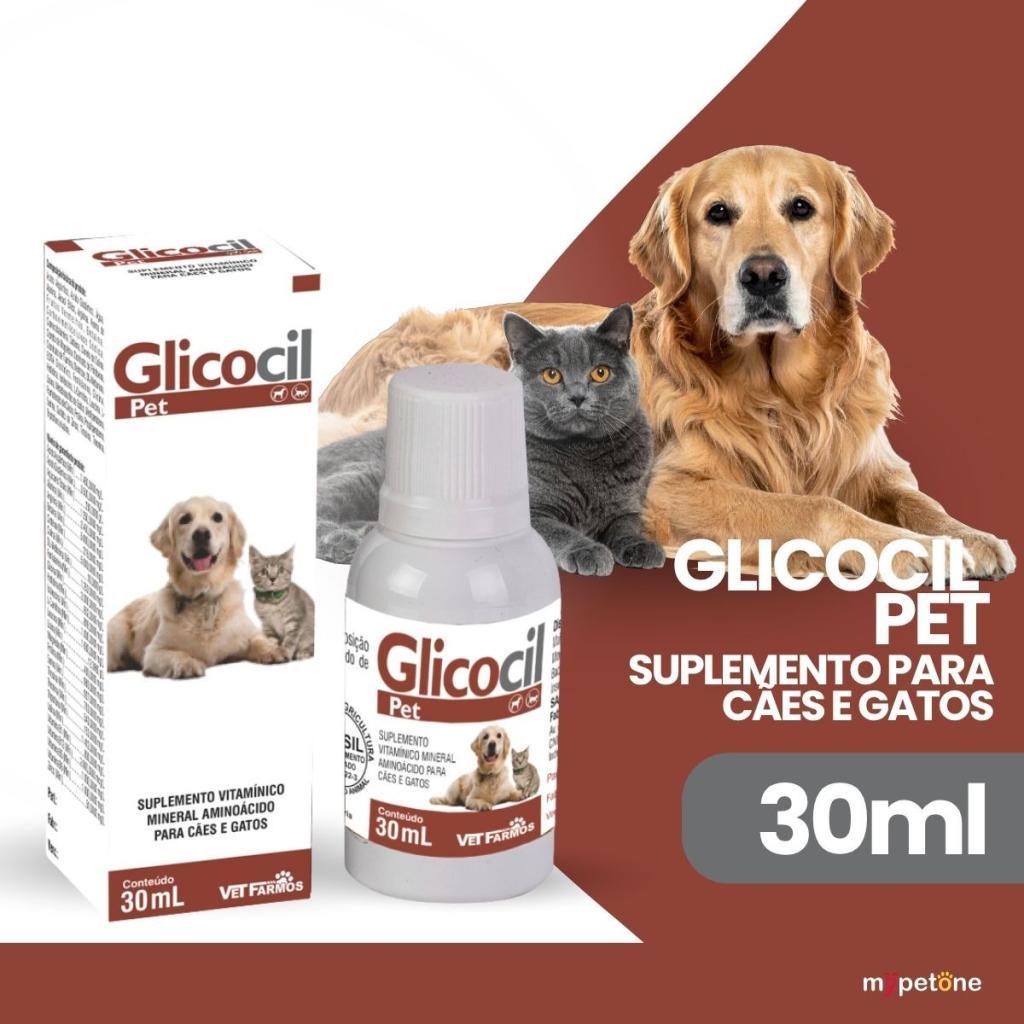 Glicocil Pet 30mL Suplemento Vitaminico Para Caes E Gatos Ideal P/ Fraqueza E Falta De Apetite Vet Farmos — imagem 2 de 2