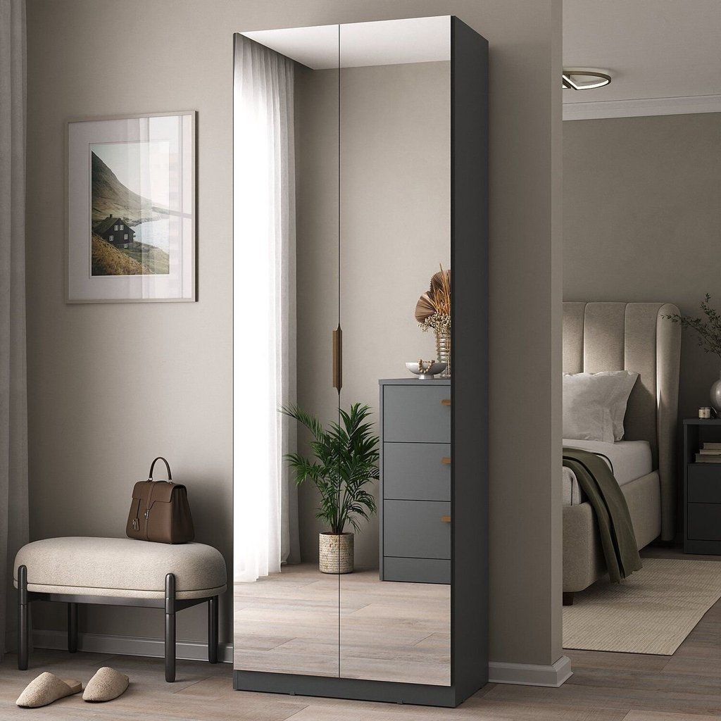 Sapateira Sublime 2 Portas com Espelho 100% MDF Cinza/Grafitto Grafito