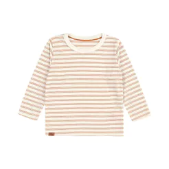 Camiseta Manga Longa Listrada Infantil Menino Marisol