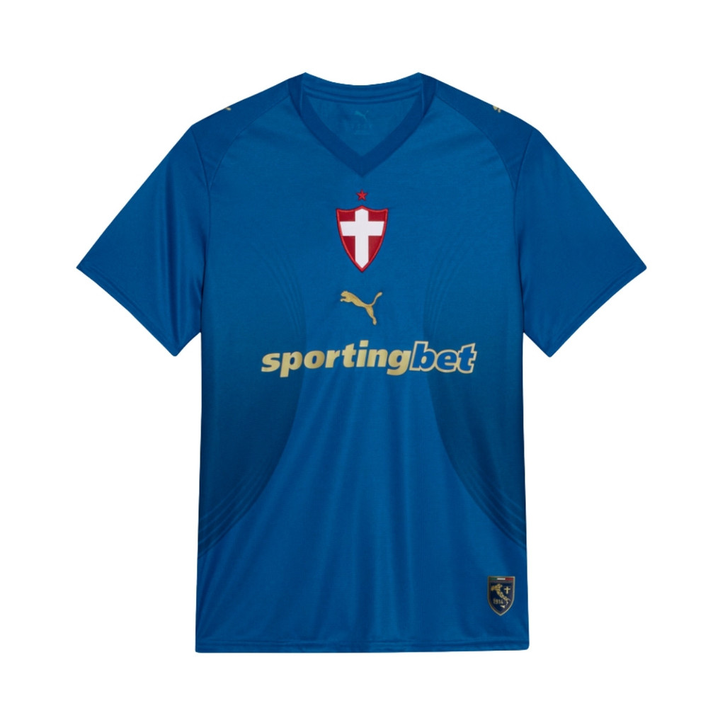 Camisa Palmeiras Torcedor Third III 2026 Puma Original Adulto