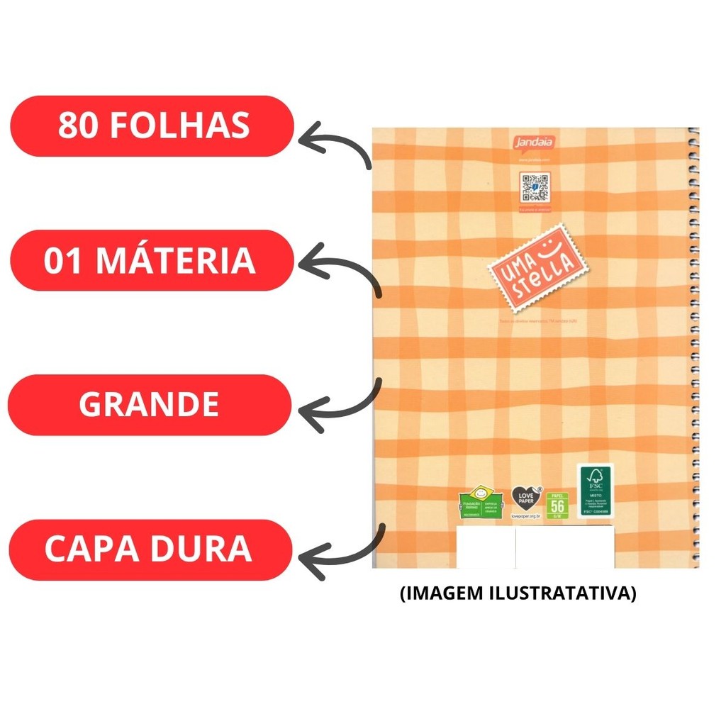 Kit 03 Cadernos Universitário 1 Matéria 80 Folhas Stella - Jandaia · foto 2
