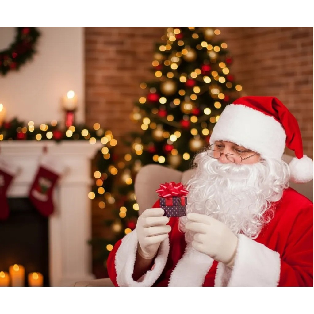 Barba Bigode e Peruca Papai Noel: Onde Comprar | BuscaProdutos