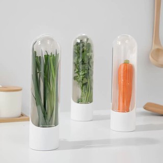 Caixa de manutenção fresca de baunilha de venda quente transfronteiriça, armazenamento de vegetais, baunilha, copo de ma