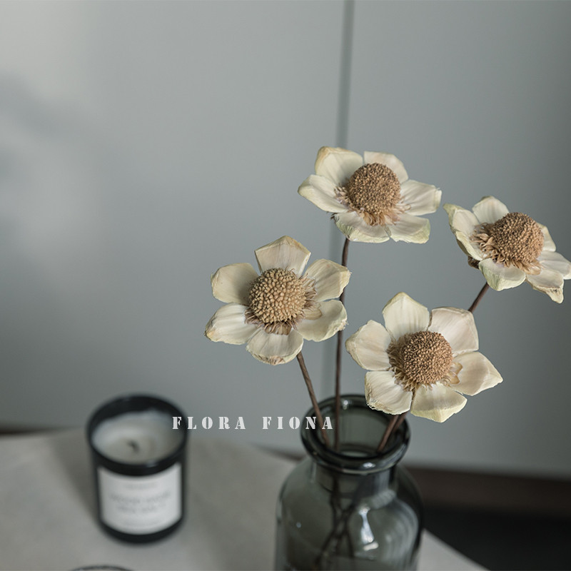 Planta Natural fruta artesanal flores secas decoração macia acessórios de decoração para casa flor b & b decoração ornam