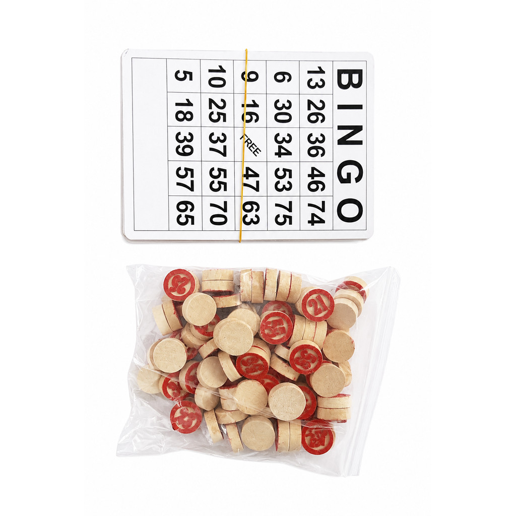 Kit Bingo com 19 Cartelas e 75 Números