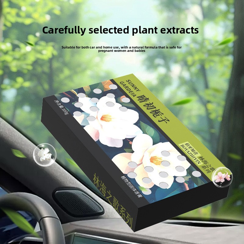 100g Grande Capacidade Carro Sólido Perfume Bálsamo Design Escondido Extrato De Planta Purificador De Ar De Longa Duraçã