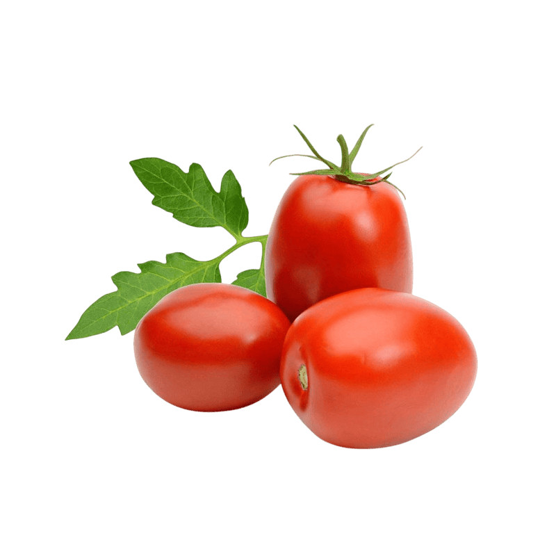 Tomate Italiano Orgânico Sítio Cambara