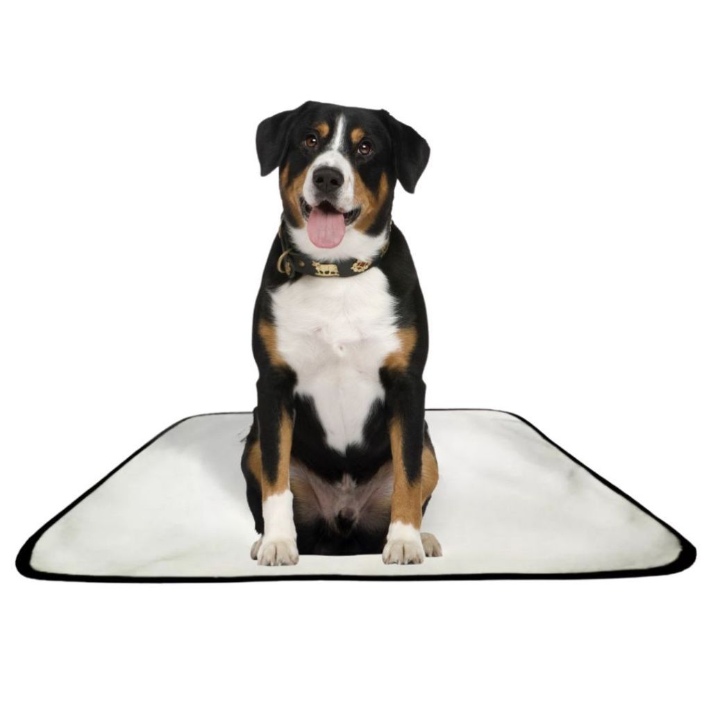 Kits 5/3/1 Tapetes higiênicos lavável para pet dog xixi gato educador reutilizável
